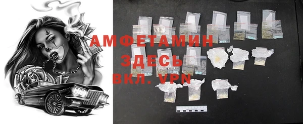 гидра Алексин