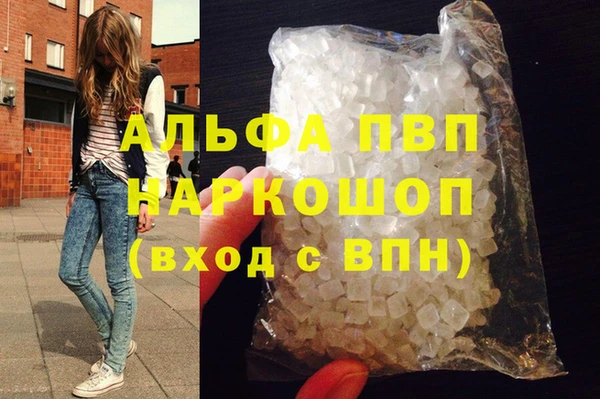 гидра Алексин