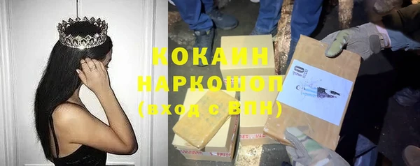гидра Алексеевка