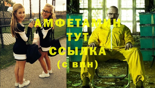 гидра Алексин