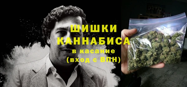 шишки Алзамай