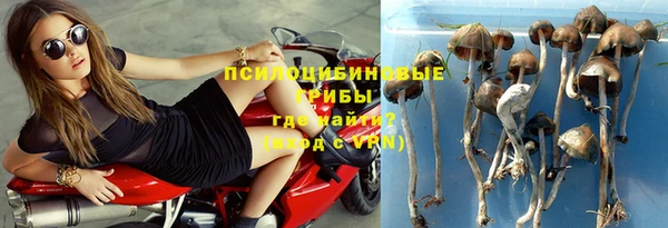 гидра Алексеевка