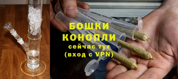 гидра Алексеевка
