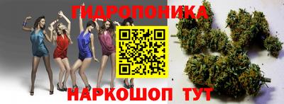 крисы Дмитров