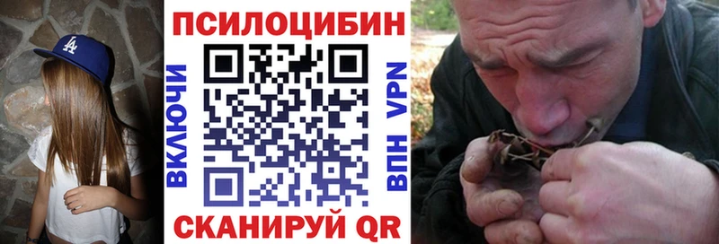 купить наркоту  Апатиты  Галлюциногенные грибы мицелий 